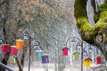 
a colorful birdhouse is surrounded by a forest of trees.