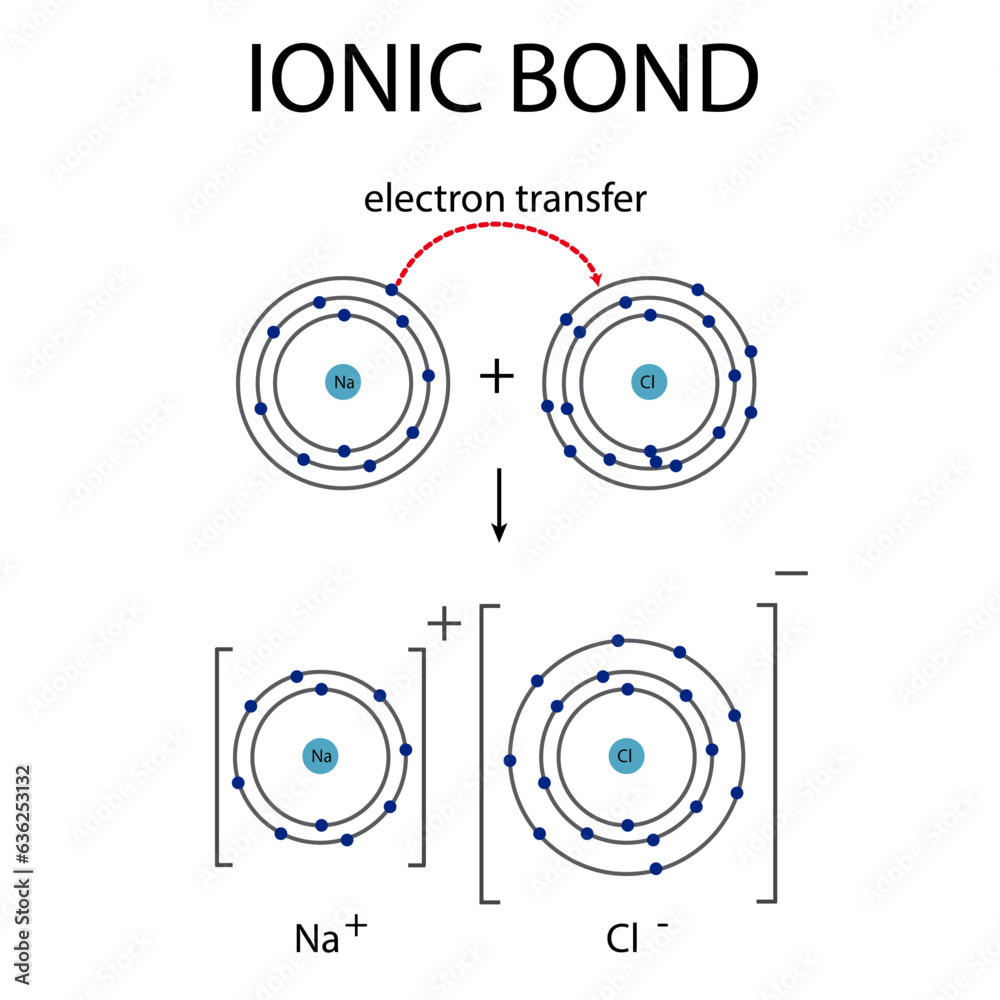 Ionic Bonding Diagram For Chemistry Education Stock Vector Adobe Stock Ionic Bonding Diagram For Chemistry Education Stock Vector Adobe Stock