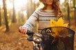 Leinwandbild Motiv Smiling young woman in a hat and a stylish sweater with a bicycle walks and enjoys the autumn weather in the forest, among the yellow leaves at sunset.
