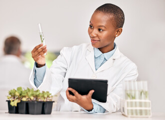 Aufkleber - Scientist, woman and plants, tablet and test tube for laboratory research, agriculture or sustainability analysis. African student in science of leaf, growth check and eco study on digital technology