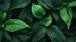 © mg photo - Green leaves background created with Generative AI