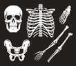 Disassembled skeleton monochrome set stickers