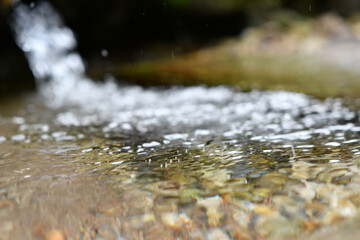 beautiful  natural ecologic spring water . close up