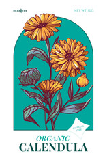 Wall Mural - Calendula herbal tea. Hand drawn herbal plants. Sketch vector illustration. Labels and package design