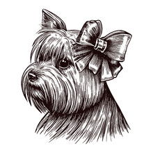 Cute Yorkshire Terrier Illustration