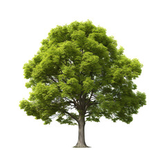 Aufkleber - Green Tree