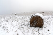 Bales Of Straw On A Field With Snow In Winter