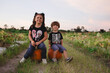 © Tamara Sales  - pumpkin patch in florida in a farm little boy and girl in a patch in bonita springs south west florida