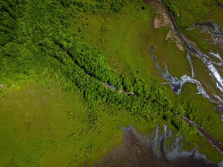 Canvas Print - Aerial top down view over a park with a green pond on a sunny day on Long Island, NY