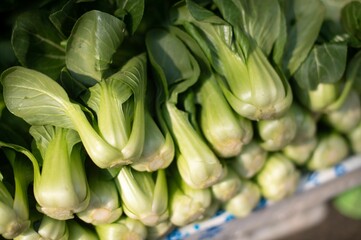 Poster - Assortment of fresh bundle of green lettuce is on display in a market