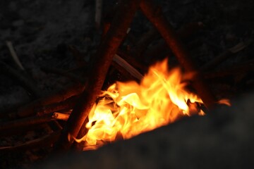 Poster - Scenic view of a campfire with glowing yellow flames