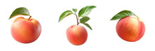 Transparent Background Highlights Solitary Peach