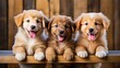 Cute group of dogs, generative ai