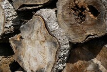 Closeup Shot Of A Pile Of Logs.