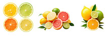 Citrus Fruits Like Lemon Lime And Orange Are Fresh And Tangy