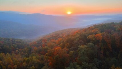 Wall Mural - Drone aerial over foggy autumn Arkansas ozark mountains with colorful fall forest trees at sunrise