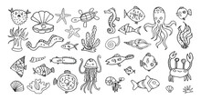 Set Of Vector Hand Drawn Ocean Animals And Fish, Tropical Sea Outline Doodle Collection, Underwater Life Aquarium For Kids