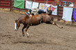 A cowboy is riding a bucking bronco at a rodeo in an arena. The horse has 2 back legs off the ground. The cowboy is wearing blue with no hat. They are in a dirt arena.