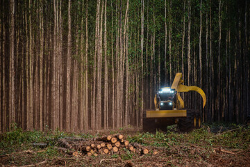 logging equipment forest machine