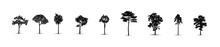 Set Of Tree Silhouettes, Vector Silhouette Of Tree