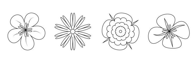 Different shapes of flowers in outline mode in isolated background. Simple and artistic flowers.