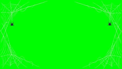 black hallowen spider on green background