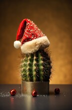 Cactus With Santa Claus Hat. Christmas Concept.