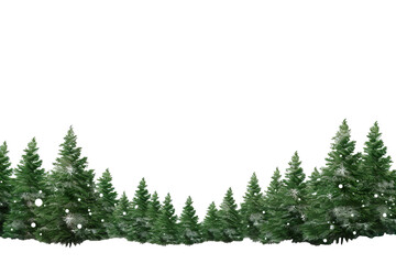 border of isolated green christmas tree branches at the edge on transparent background with sparklin