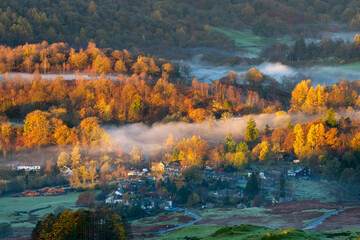 Wall Mural - vibrant autumn colours in misty valley with golden sunlight, elterwater village, lake district, uk.