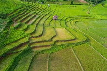 Beautiful  Rice Terraces In The Countryside Of Northern Thailand, Chiang Mai Province, Thailand.