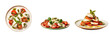 Vegetarian European dish with mozzarella oregano mint and tomatoes