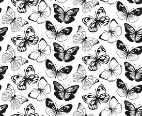 Wall Mural - Butterfly Seamless Pattern. Decorative Fly Insect Background. Black and White Botanical Texture