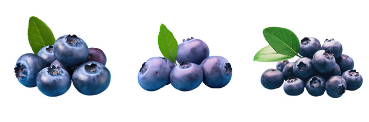 Wall Mural - Close up of isolated blueberries on transparent background