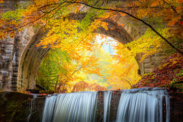 Wall Mural - Fantastic Fall Autumn landscape - river waterfall in colorful autumn forest park with yellow red leaves with old bridge,