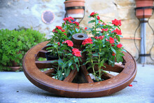 Focus On A Flower Arrangement Of Impatiens With Red Flowers Inside A Wooden Wheel, In The Streets Of The Village, Gualdo Cattaneo, Perugia, Umbria, Italy