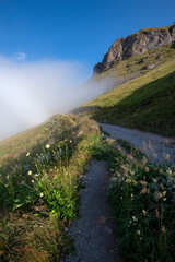 Wall Mural - Beautiful morning landscape with fog and mountains