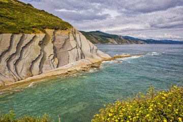 Wall Mural - the bay with the straight steep sedimentary rocks of Zumaia flysch with yellow flowers in the foreground