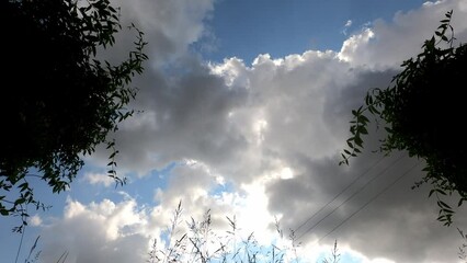 Wall Mural - Landscape timelapse view of moving cloudscape over trees and vibrating plants