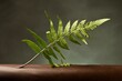 A newly grown frond. Generative AI