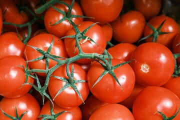 Wall Mural - Stack of various red cherry tomatoes