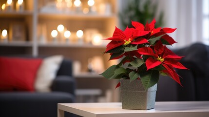 Wall Mural - Beautiful poinsettia in the interior. Traditional Christmas flower created with Generative AI technology.