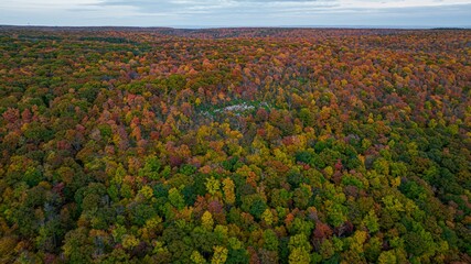 Poster - High-angle view of a beautiful dense colorful forest during fall season