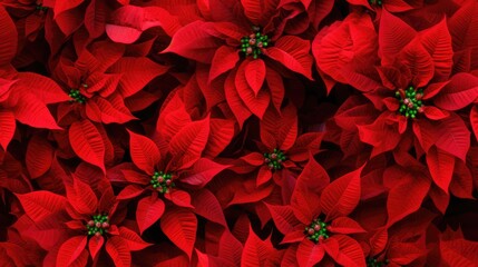 A closeup of the blossomed beautiful seamless red poinsettia flowers created with Generative AI technology.