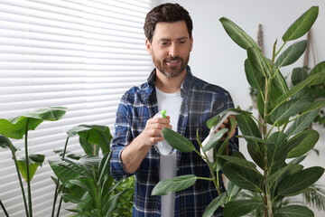 Canvas Print - Man spraying beautiful potted houseplants with water indoors