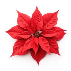 Wall Mural - Beautiful poinsettia isolated on white background top view created with Generative AI technology.