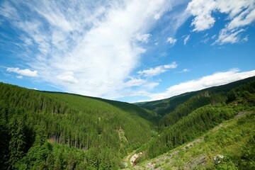 Poster - Aerial view of a picturesque valley surrounded by lush green forest, Carpathian mountains