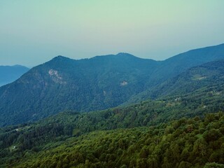 Wall Mural - Scenic landscape featuring a mountain range in the distance surrounded by lush green trees