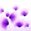 vector background with purple flowers