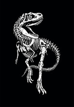 Vector Illustration Of Tyrannosaurus Rex Skeleton. Art For Printing On T-shirts, Posters And Etc...