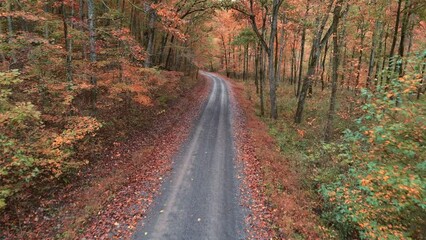 Wall Mural - Gravel dirt country road winding through autumn forest and fall colored trees with orange and yellow leaves 